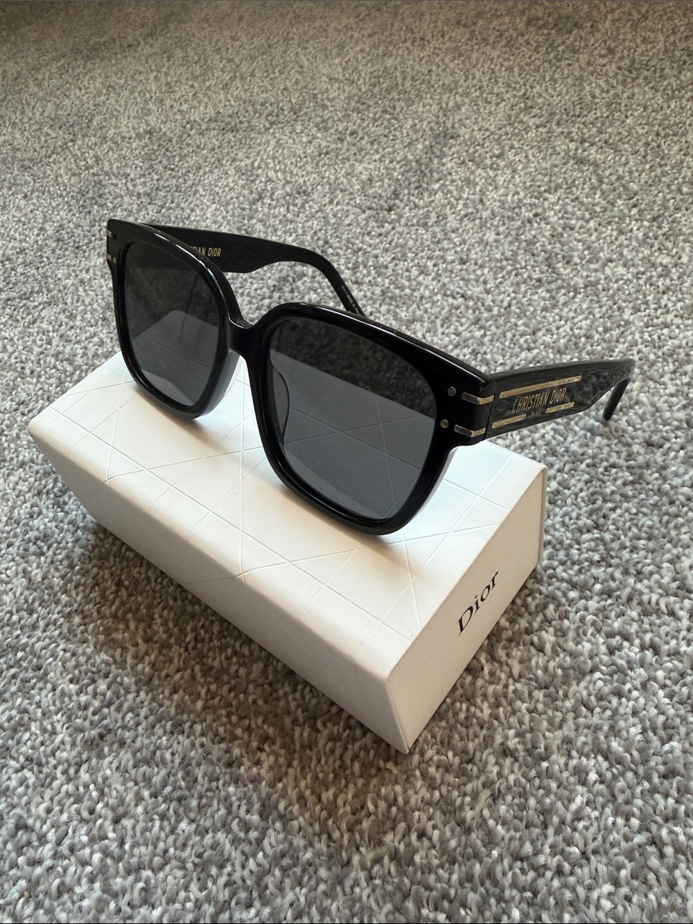 Christian Dior Signature S7F Sunglasses